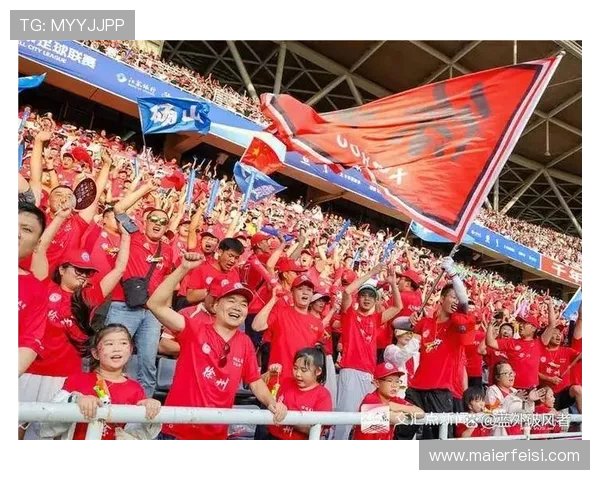 南京排球队灵活性引发热议球迷与专家各执己见探讨未来发展方向